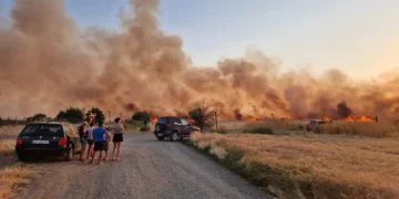 Incendiu în lanul de grâu. Locuințe în pericol!