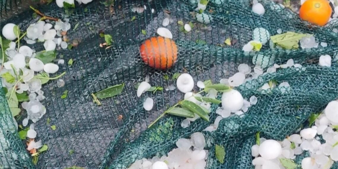 Cod roșu de caniculă și coduri de vijelii simultane: România, sub asediul extremelor meteo