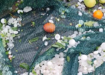 Cod roșu de caniculă și coduri de vijelii simultane: România, sub asediul extremelor meteo