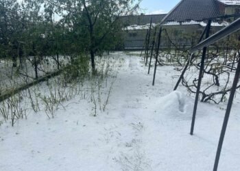 Strat de o palmă de grindină într-un județ din România