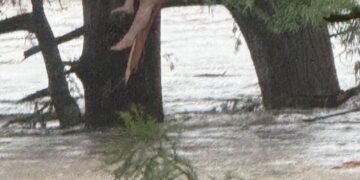 Râul Guadalupe a luat peste 50 de vieți. Viitura l-a speriat pe Trump!