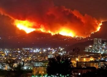 🔥 Turcia fierbe: record istoric de temperatură, incendii devastatoare și zeci de victime în urma valului de caniculă