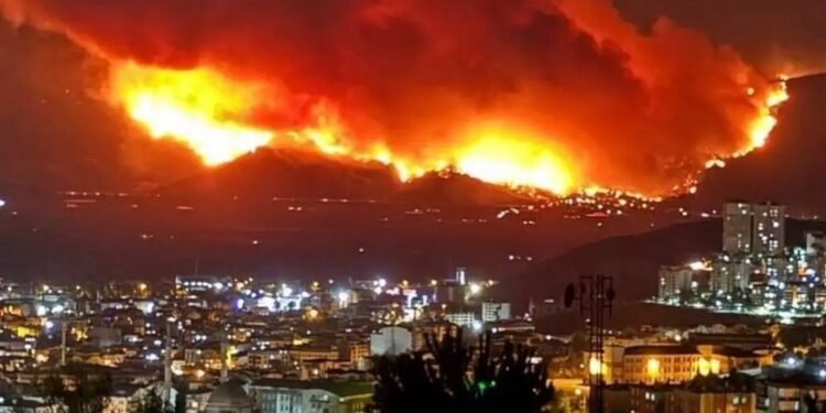 🔥 Turcia fierbe: record istoric de temperatură, incendii devastatoare și zeci de victime în urma valului de caniculă