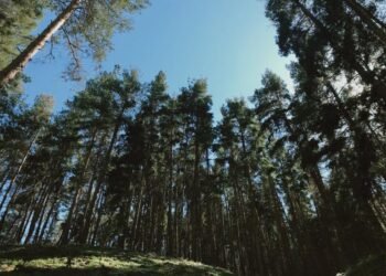 Un rus de 20 de ani, găsit mort în Turcia cu un verset din Coran și gura sigilată