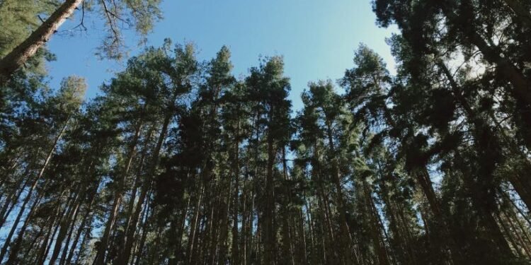 Un rus de 20 de ani, găsit mort în Turcia cu un verset din Coran și gura sigilată