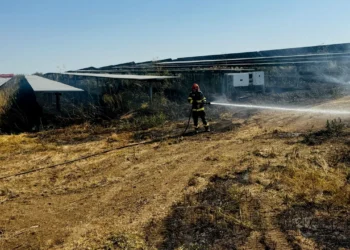 Parc fotovoltaic în flăcări. Focul a pornit de la un utilaj agricol