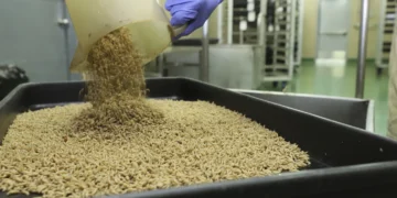 SUA vor arunca miliarde de muște sterile din avioane pentru a opri un vierme mâncător de carne