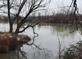 O angajată a Apelor Române și-a pierdut piciorul în timpul unor lucrări de întreținere