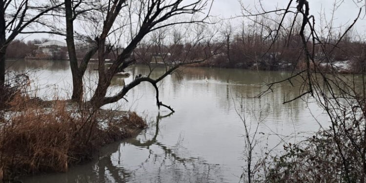 O angajată a Apelor Române și-a pierdut piciorul în timpul unor lucrări de întreținere