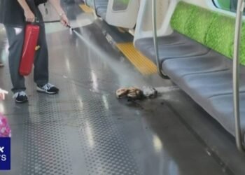 I-a explodat bateria de la telefon