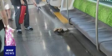 I-a explodat bateria de la telefon