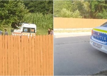 Copil răpus de motocultorul bunicului