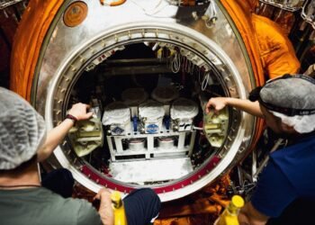 Rusia a lansat un satelit biologic cu șoareci, muște și plante la bord