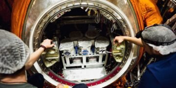 Rusia a lansat un satelit biologic cu șoareci, muște și plante la bord