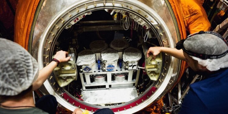 Rusia a lansat un satelit biologic cu șoareci, muște și plante la bord