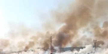 Incendiu uriaș de vegetație în Gorj: flăcările au cuprins 200 de hectare, risc de propagare la construcții