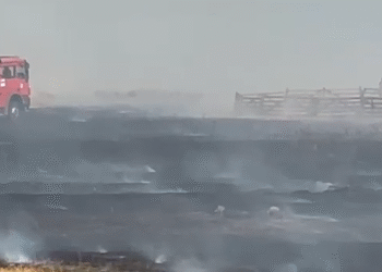 Incendiu uriaș la Târgu Jiu: o fermă și mai multe mașini mistuite de flăcări