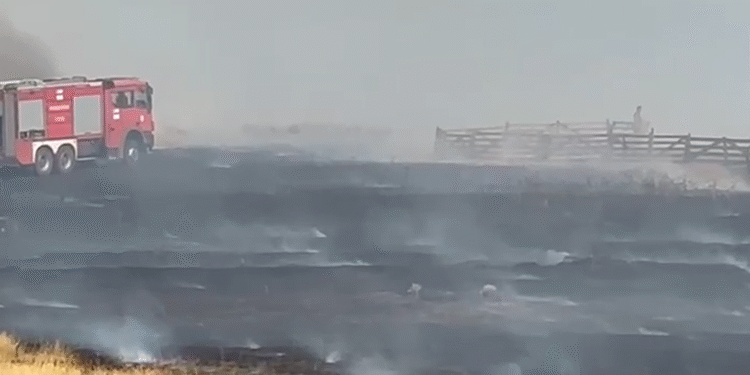 Incendiu uriaș la Târgu Jiu: o fermă și mai multe mașini mistuite de flăcări