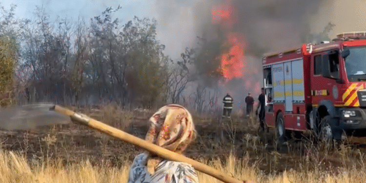 Trei case mistuite de incendiu