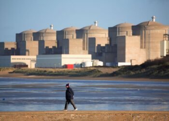 Centrală nucleară închisă de un roi masiv de meduze