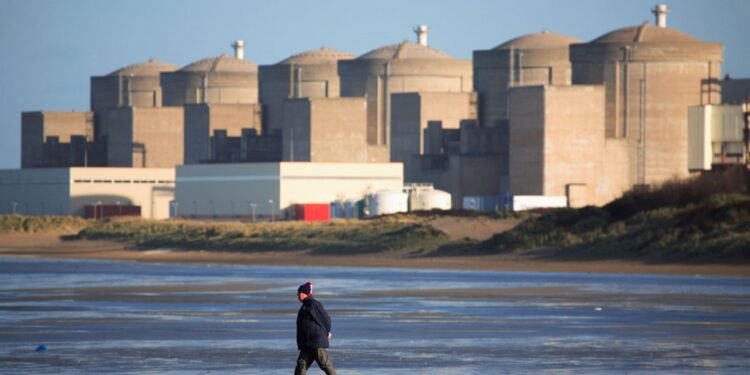 Centrală nucleară închisă de un roi masiv de meduze