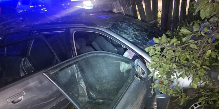 A fugit de Poliție și uite ce a pățit