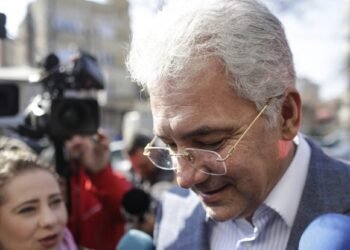 Firma lui Videanu primește zeci de milioane de euro ajutor de stat