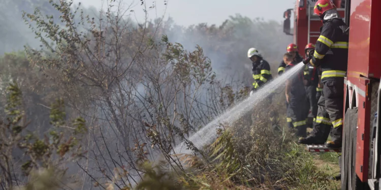Incendiul de pădure care a blocat circulația pe un drum național