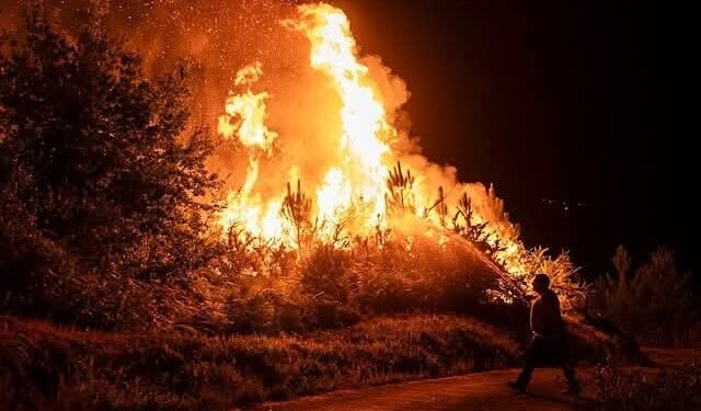 Anunță un „pact național” împotriva schimbărilor climatice, după incendiile devastatoare