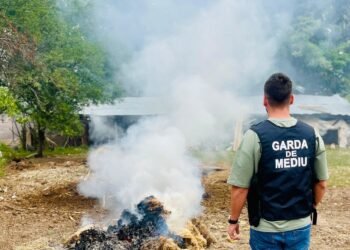 Ciobanii din Gorj, amendați pentru arderea lânii – dar problema reală e lipsa unei piețe de valorificare