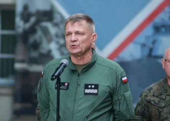 Un UAV rusesc a explodat într-un lan de porumb din Polonia