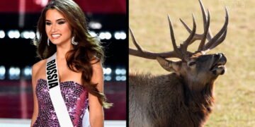 Fosta miss Rusia a murit într-un accident bizar