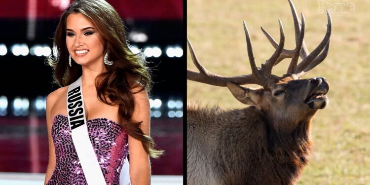 Fosta miss Rusia a murit într-un accident bizar