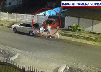 Motivul incredibil pentru care i-a scrijelit mașina cu briceagul