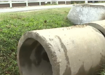 Canalizare cu fonduri europene, dar fără avize, furată bucată cu bucată! Sătenii din Gorj, obligați acum să se debranșeze