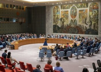 Presiuni asupra americanilor în Consiliul de Securitate al ONU
