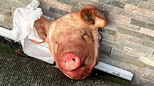 Capete de porc „Macron” în faţa unor moschei din Paris
