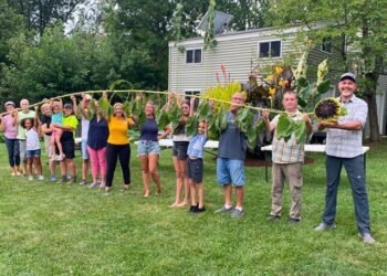 A doborât recordul mondial Guinness cu cea mai înaltă floarea-soarelui din lume: 10,9 metri