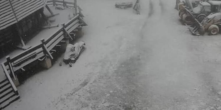 A nins în munții Parâng