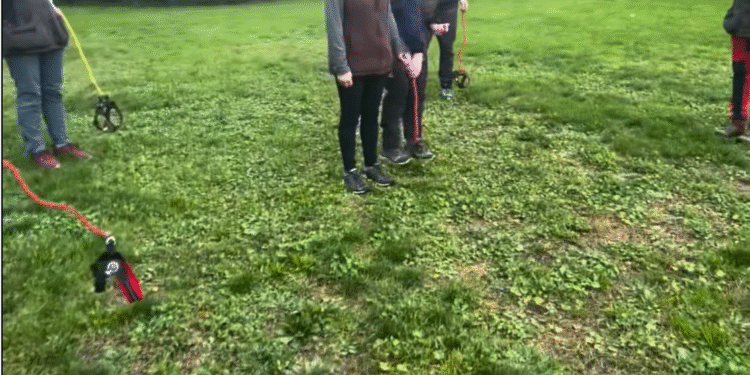 „Hobby Dogging” – noul trend neobișnuit din Germania, care îi învață pe oameni să gândească… precum câinii