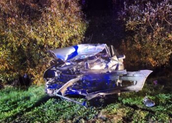 Bunicii unei mirese au murit într-un cumplit accident după ce au plecat de la nuntă