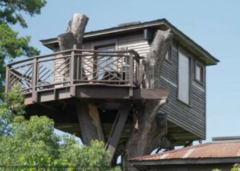 Și-a construit o casă de vis în copac: un refugiu de 400.000 de dolari cu bar, vitralii și vedere panoramică