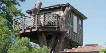 Și-a construit o casă de vis în copac: un refugiu de 400.000 de dolari cu bar, vitralii și vedere panoramică