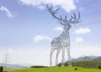 Austria schimbă fața infrastructurii! Liniile electrice devin opere de artă în formă de animale ⚡🦌🕊️
