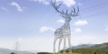 Austria schimbă fața infrastructurii! Liniile electrice devin opere de artă în formă de animale ⚡🦌🕊️