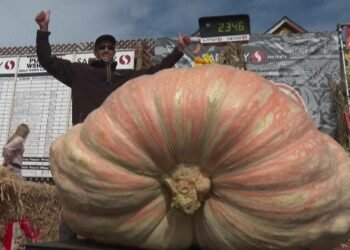 Dovleacul de o tonă i-a adus marele premiu