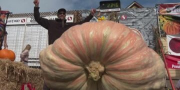 Dovleacul de o tonă i-a adus marele premiu