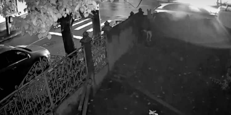 Mașina unui antrenor din Craiova a fost incendiată