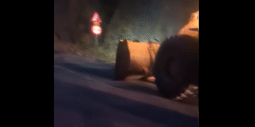 Valea Oltului, blocată de o ploaie de semințe