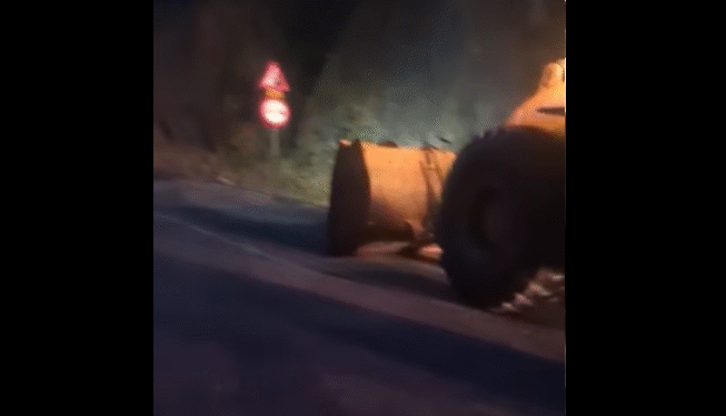 Valea Oltului, blocată de o ploaie de semințe